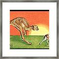 Cheetahroo On The Hunt Framed Print