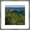 Chehalis Lookout Framed Print