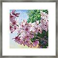 Cherry Blossoms #2 Framed Print