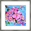 Cherry Blossoms Framed Print