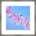 Cherry Blossoms. Thank You Collection Framed Print