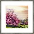 Cherry Orchard Hill Framed Print