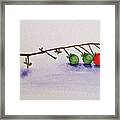 Cherry Tomatoe Vine Framed Print