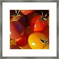 Cherry Tomatoes Framed Print