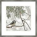 Chicadee In A Snow Storm Framed Print