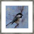 Chickadee #2 Framed Print