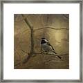 Chickadee Framed Print