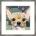 Chihuahua Collage Framed Print