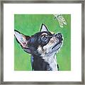Chihuahua With Dragonfly Framed Print