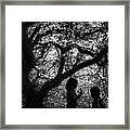 Child Silhouettes Framed Print