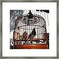 China Bird In Mahogany Cage Framed Print
