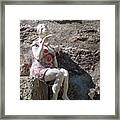 China Girl Framed Print