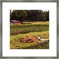 Chinese Rustic No. 2 Framed Print