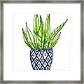 Chinoiserie Cactus No2 Framed Print