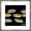 Chironomid Eggs, Lm Framed Print