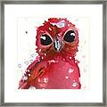 Christmas Finch Framed Print