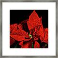 Christmas Fire Framed Print