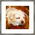 Christmas Puppy Framed Print