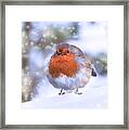 Christmas Robin Framed Print