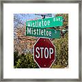 Christmas Theme Street Sign Framed Print