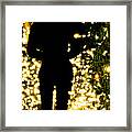 Christmas Tree Walk 2466 Framed Print