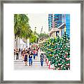 Christmas Trees Framed Print