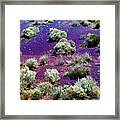 Cinder Hills Overlook, Volcanic Dune, Creosote Bushes, Wupatki N Framed Print