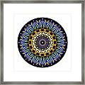 Circularium No 2641 Framed Print