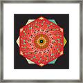 Circulosity No 3281 Framed Print