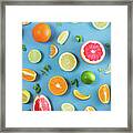 Citrus Summer Framed Print