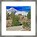 Clark's Nutcracker Country Wide Framed Print