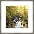 Clear Creek On South Mountain Framed Print