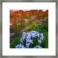 Clear Lake Summer Framed Print