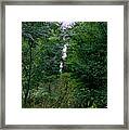 Clearing Glimpsed 7 Framed Print