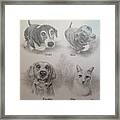 Cline Pets Framed Print