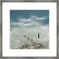 Close Your Eyes And Make A Wish Framed Print