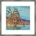 Clouds Above Flooded Tree Framed Print