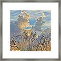 Clouds And Seaoats Framed Print