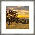 Clouds And Tree At Sunrise Framed Print