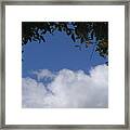 Clouds Framed By Tree Framed Print
