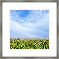 Clouds Over A Cornfield Framed Print
