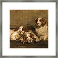 Clumber Spaniels In A Kennel Framed Print