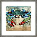 Coastal Blue Crab Framed Print