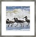 Coastal Togetherness Framed Print