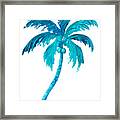 Coconut Palm Tree Framed Print