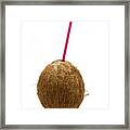 Coconut With A Straw Framed Print