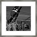 Coiled Lines Framed Print