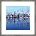 Cold Blue Pond Framed Print