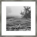 Cold Frosty Morning Framed Print