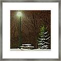 Cold Lunch Framed Print